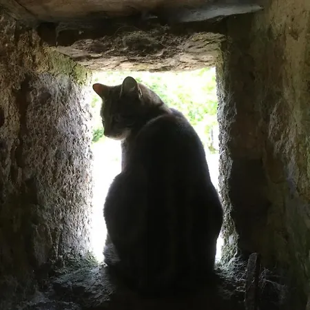 Oda ve Kahvaltı Normandy