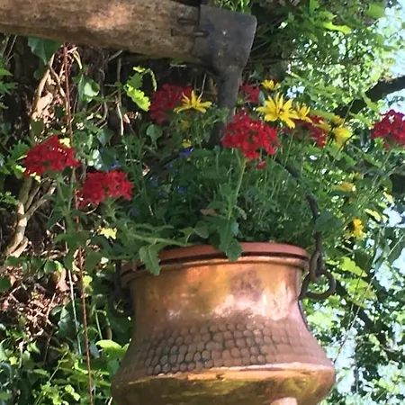 Oda ve Kahvaltı Normandy 3*