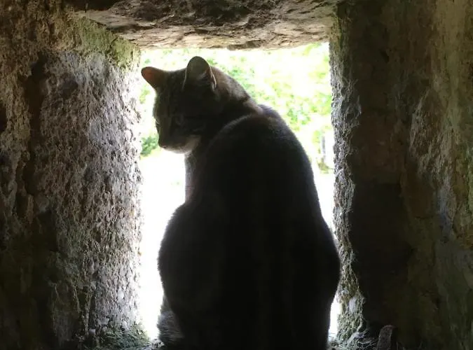 Bed & Breakfast Normandy